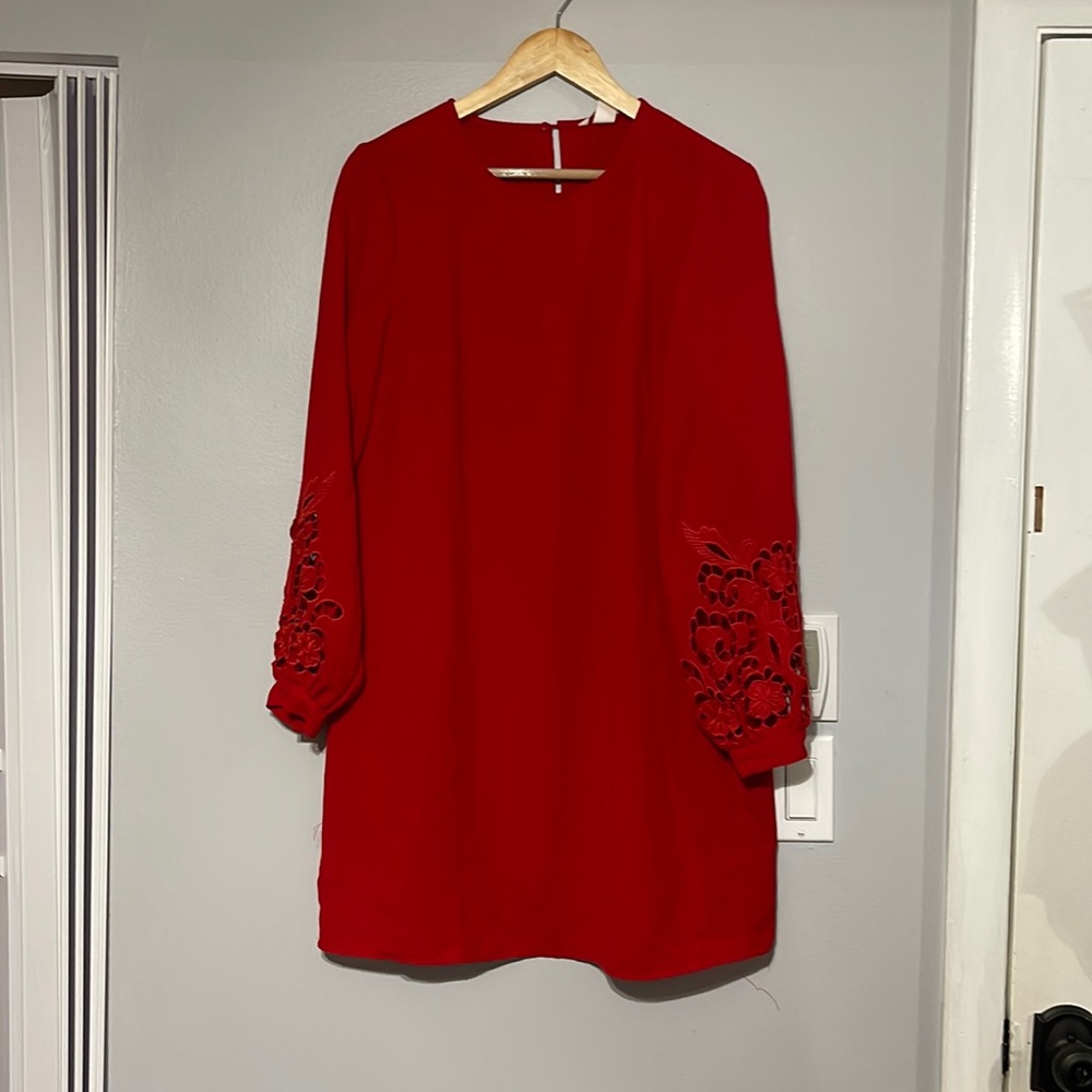 Floral Embroidered Sleeve Dress